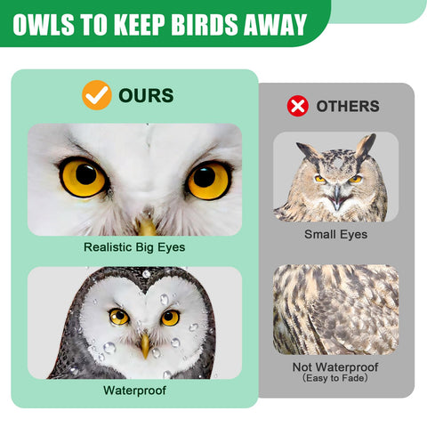 Vicsiyi bird deterrent owl suits garden, orchard, and patio.