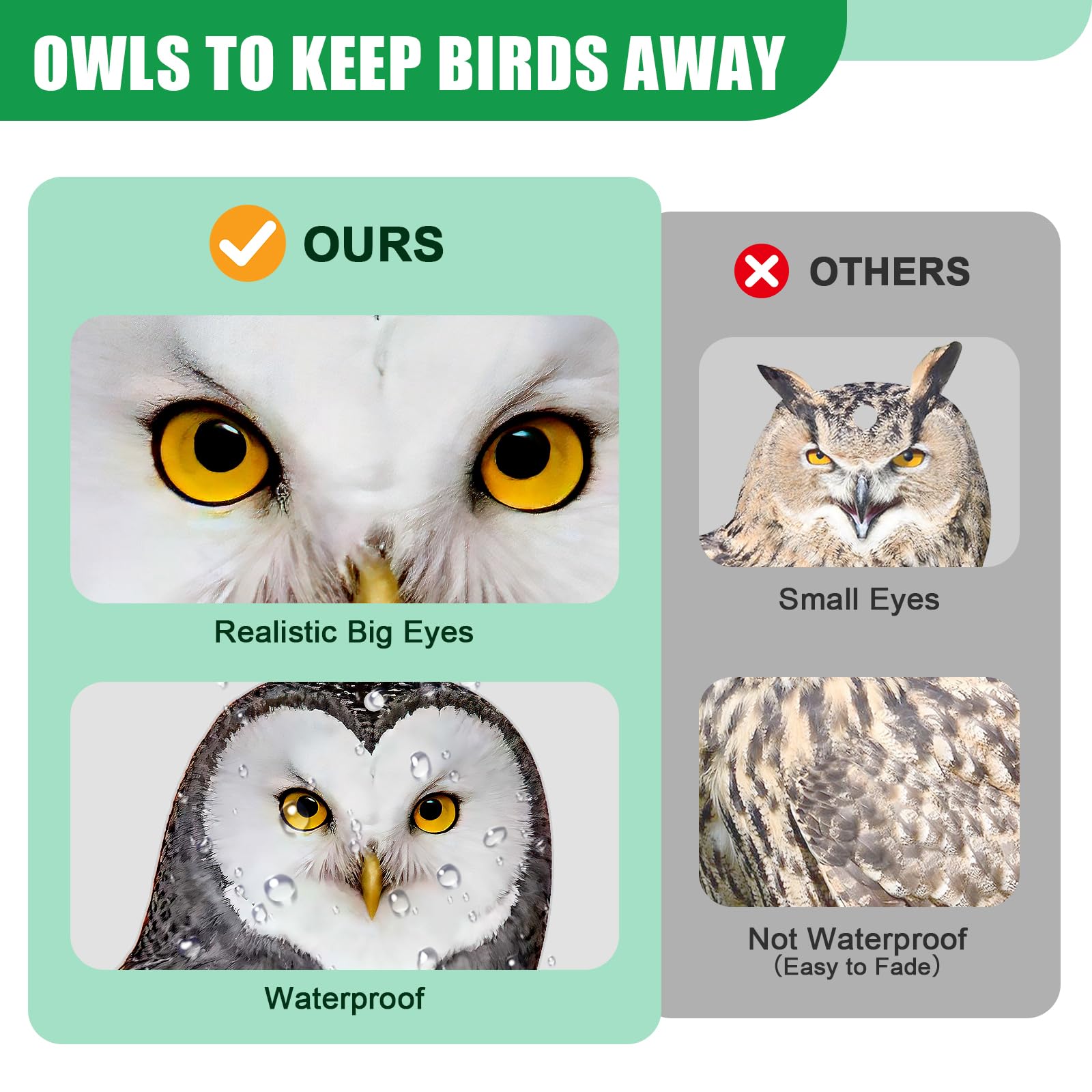 Vicsiyi eco-friendly bird deterrent that reduces garden mess safely.