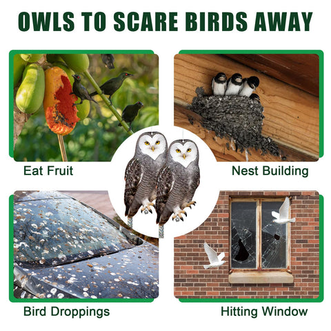 Vicsiyi lifelike, double-sided owl visible from all angles.