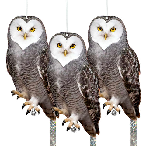 Vicsiyi owl 3pack bird deterrent for gardens and orchards.
