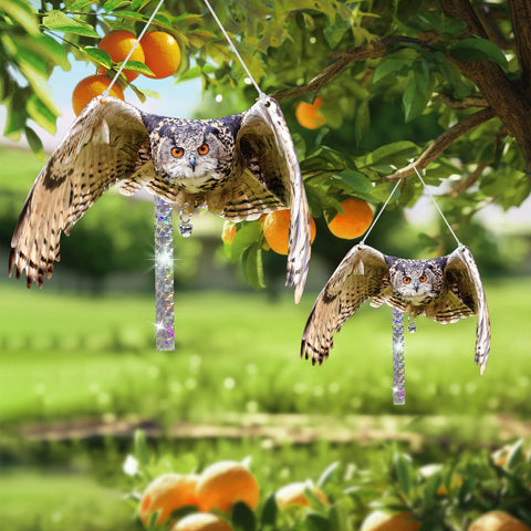Vicsiyi three-pack includes three owls, tapes, ropes, and bells for versatile setup.