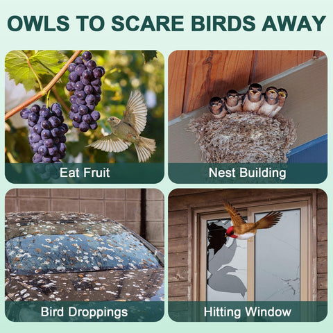 Vicsiyi garden and window usage ideas with hanging owl deterrents for bird control.