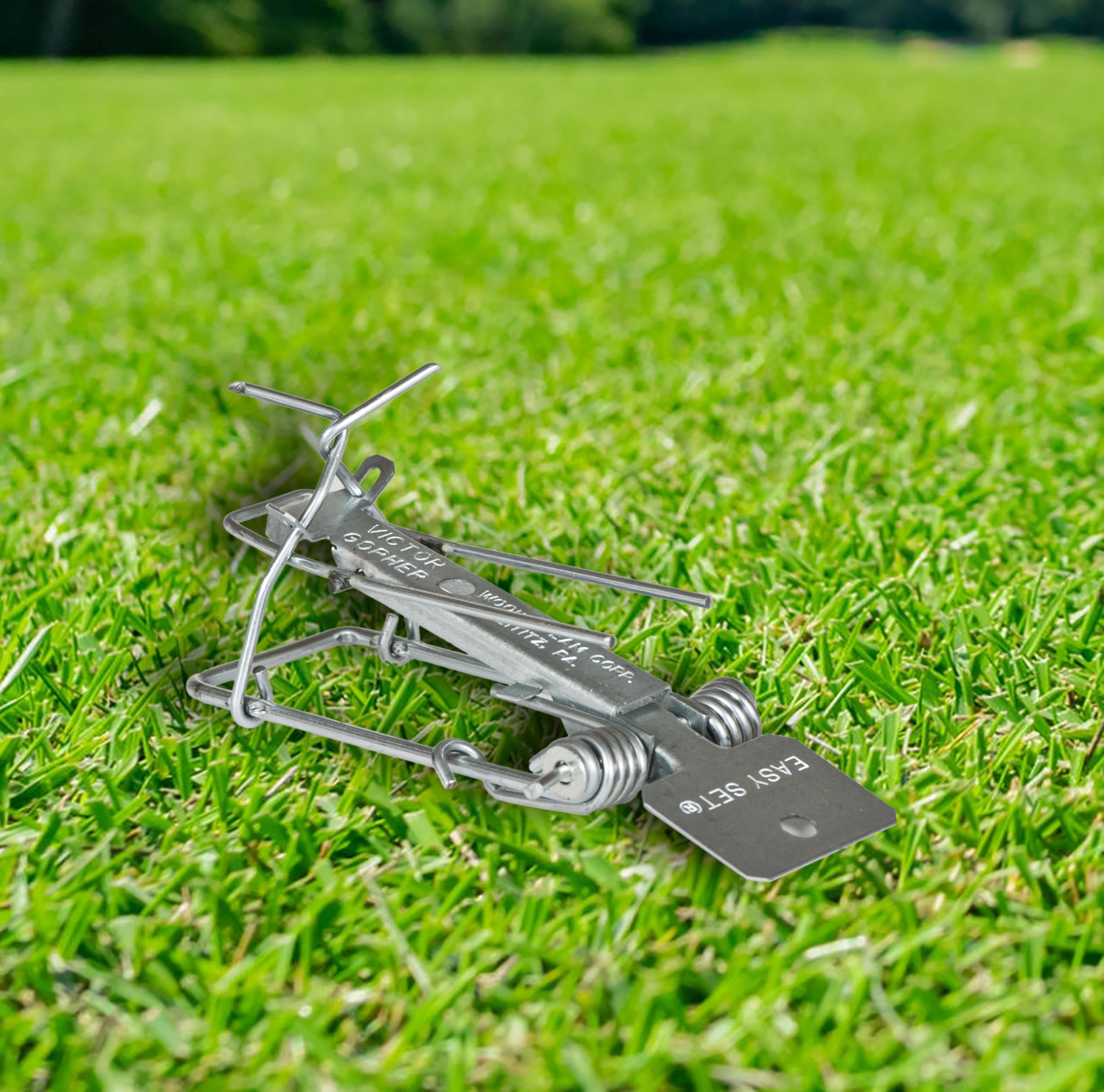 Victor Easy Set Gopher Trap 0610 keeps moving parts below ground for safety.
