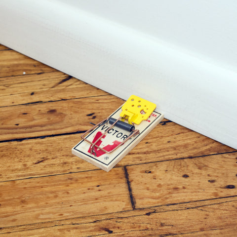 Victor Easy Set chemical-free design safe for homes with kids.