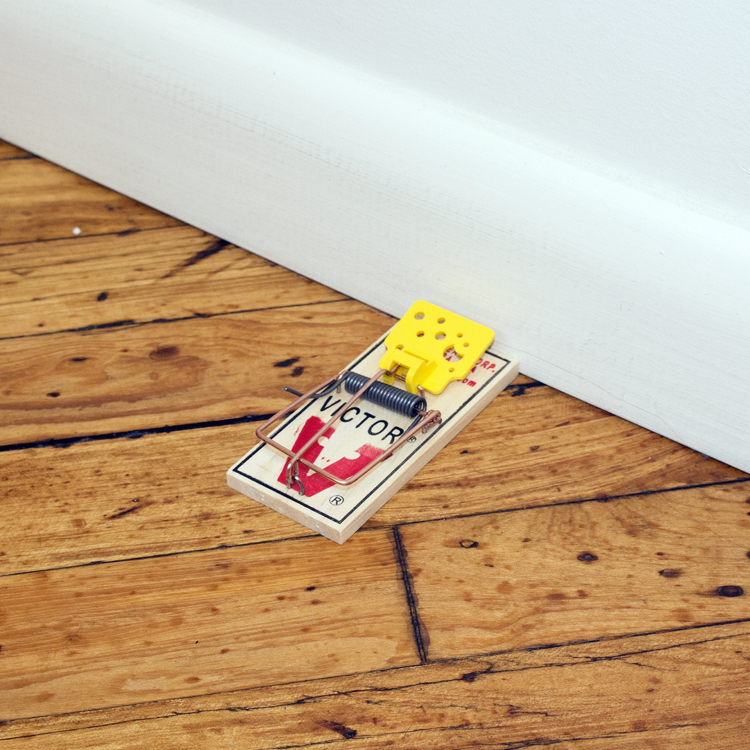 Victor Easy Set trap ideal for household use in kitchens and garages.