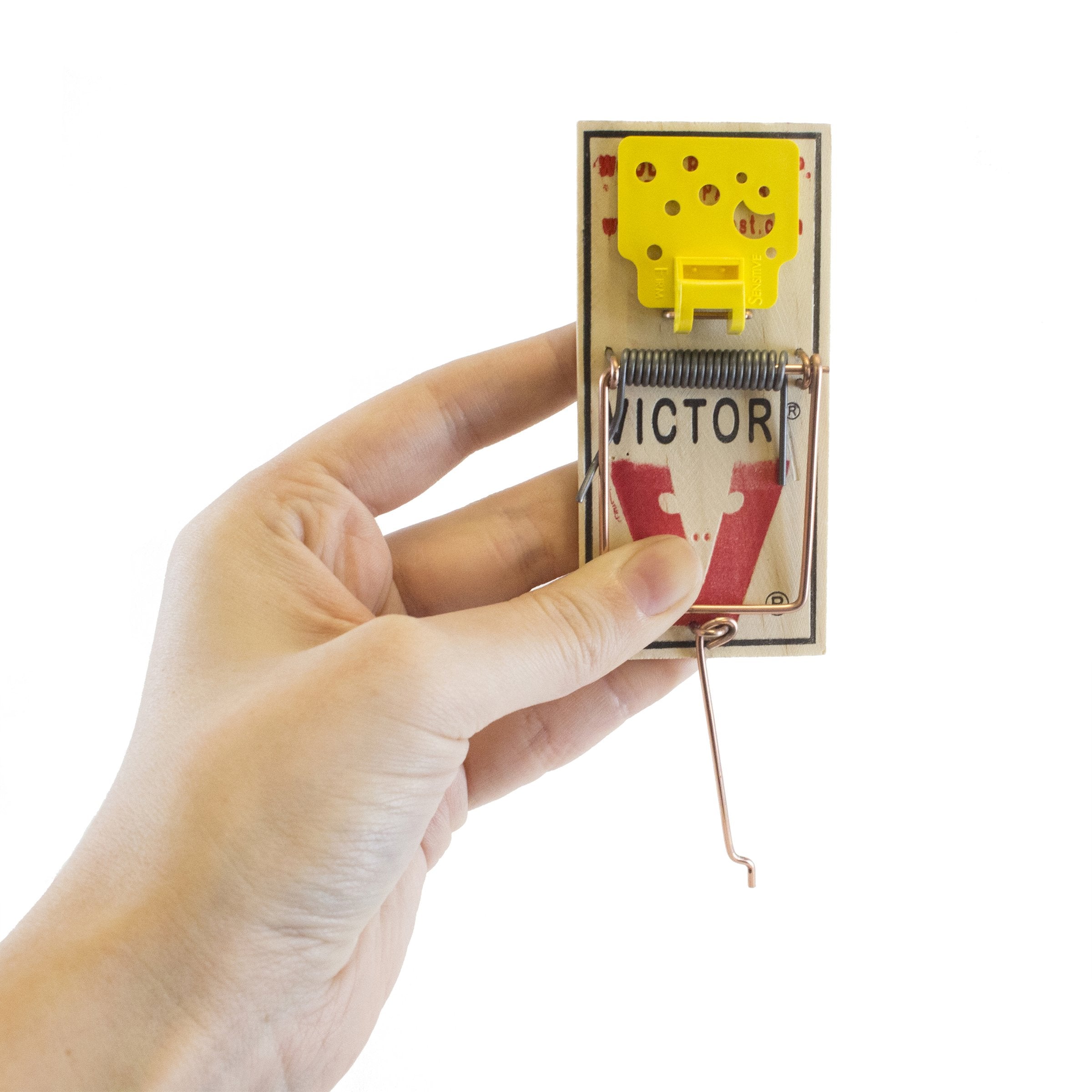 Victor Easy Set trap is reusable or disposable for flexible use.