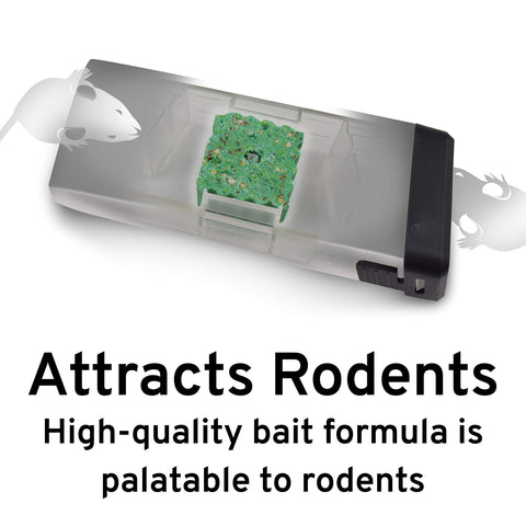 Victor Fast-Kill M922 dual-entry tunnels facilitate bait interaction