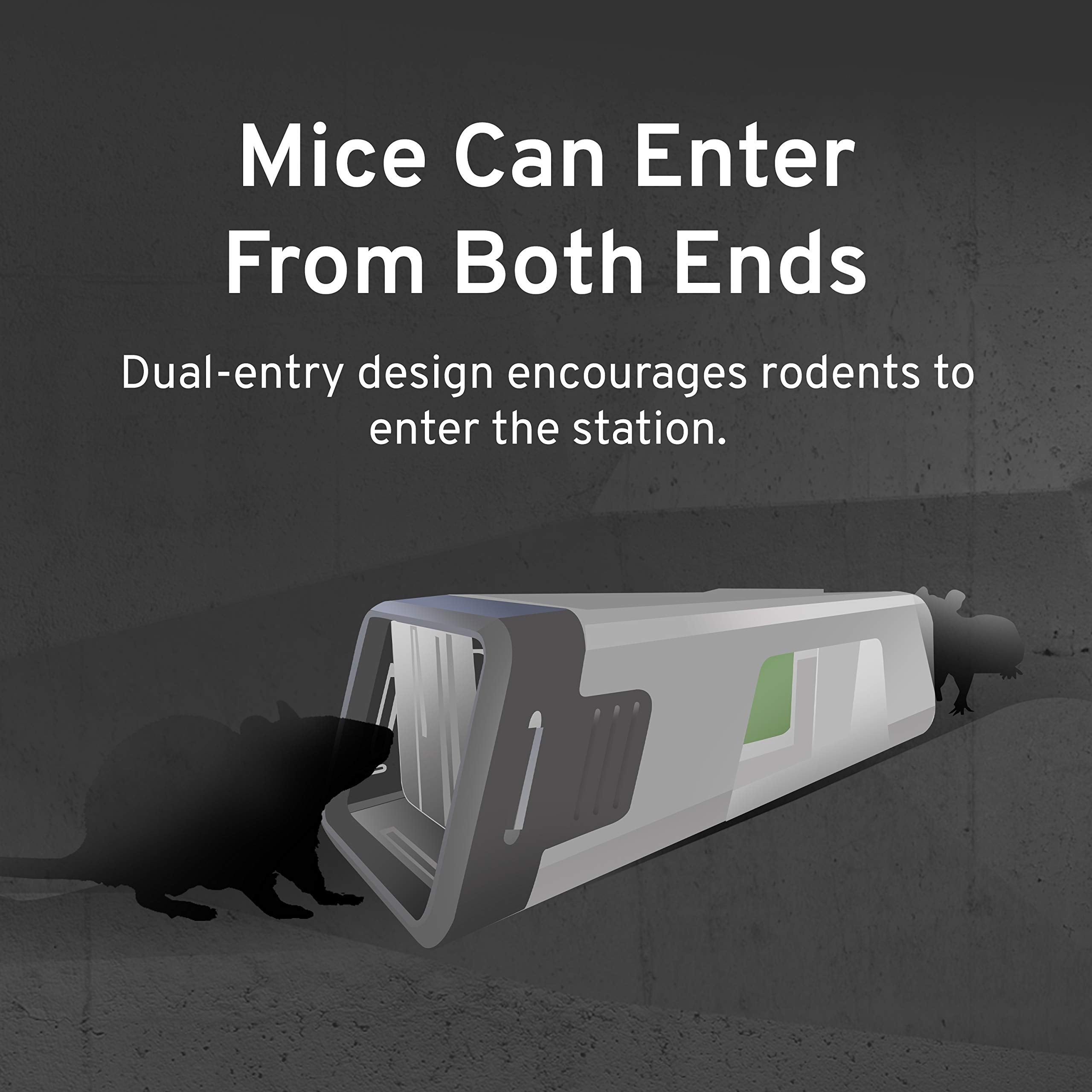 Victor Fast-Kill M922 side view highlighting dual-entry tunnels for rodent access