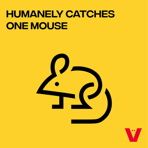 Victor Live Catch back view reveals clear monitoring window