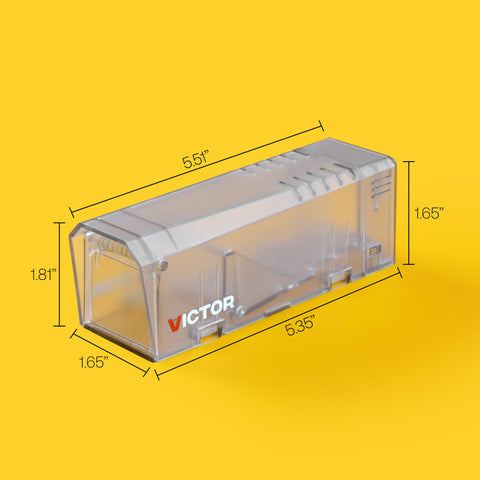Victor Live Catch outdoors proves effective pest control without touching rodent