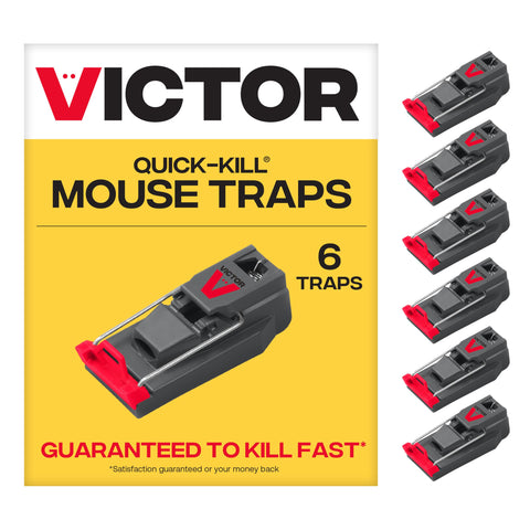 Victor M123SSR quick-kill trap set for fast control.