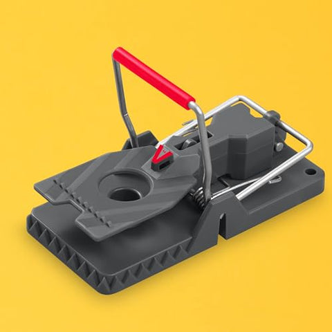 Victor M144-2B trap reusable-or-disposable choice fits different needs.