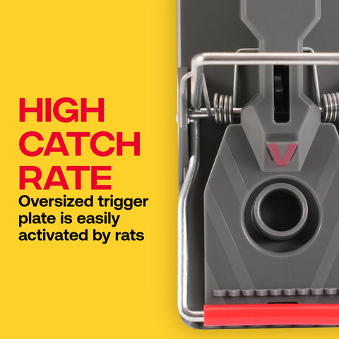 Victor M144B back holes designed for beam mounting and secure positioning.