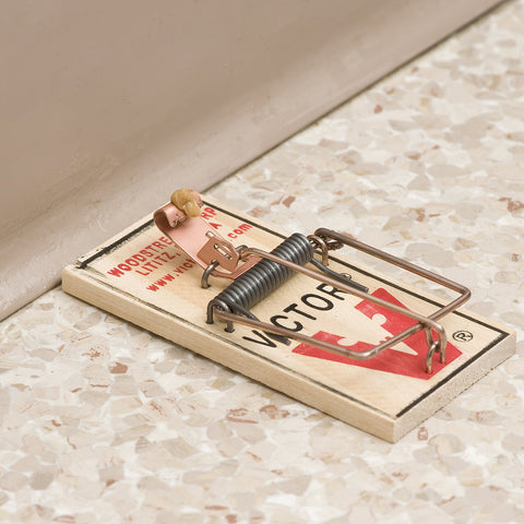 Victor M156 sustainably-sourced-wood close-up highlights eco-friendly sourcing