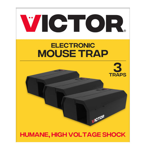 Victor M250BSR-3 three-pack traps for indoor rodent control.