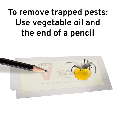 Victor M309 72-board pack supports cost-effective pest monitoring.