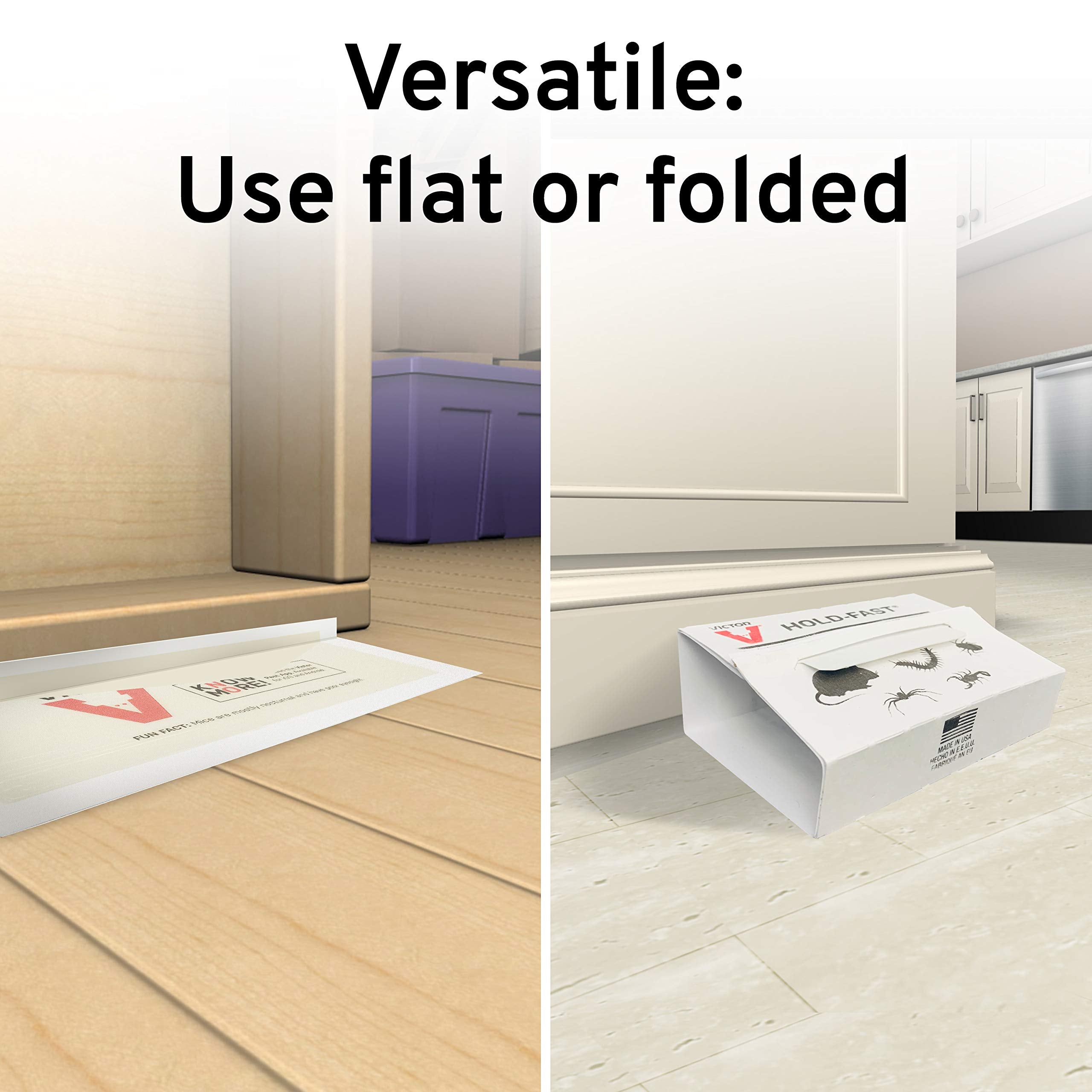 Victor M309 glue board inside Tin Cat trap prevents escapes.