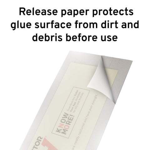 Victor M309 glue board prebaited with synthetic peanut butter for ready use.