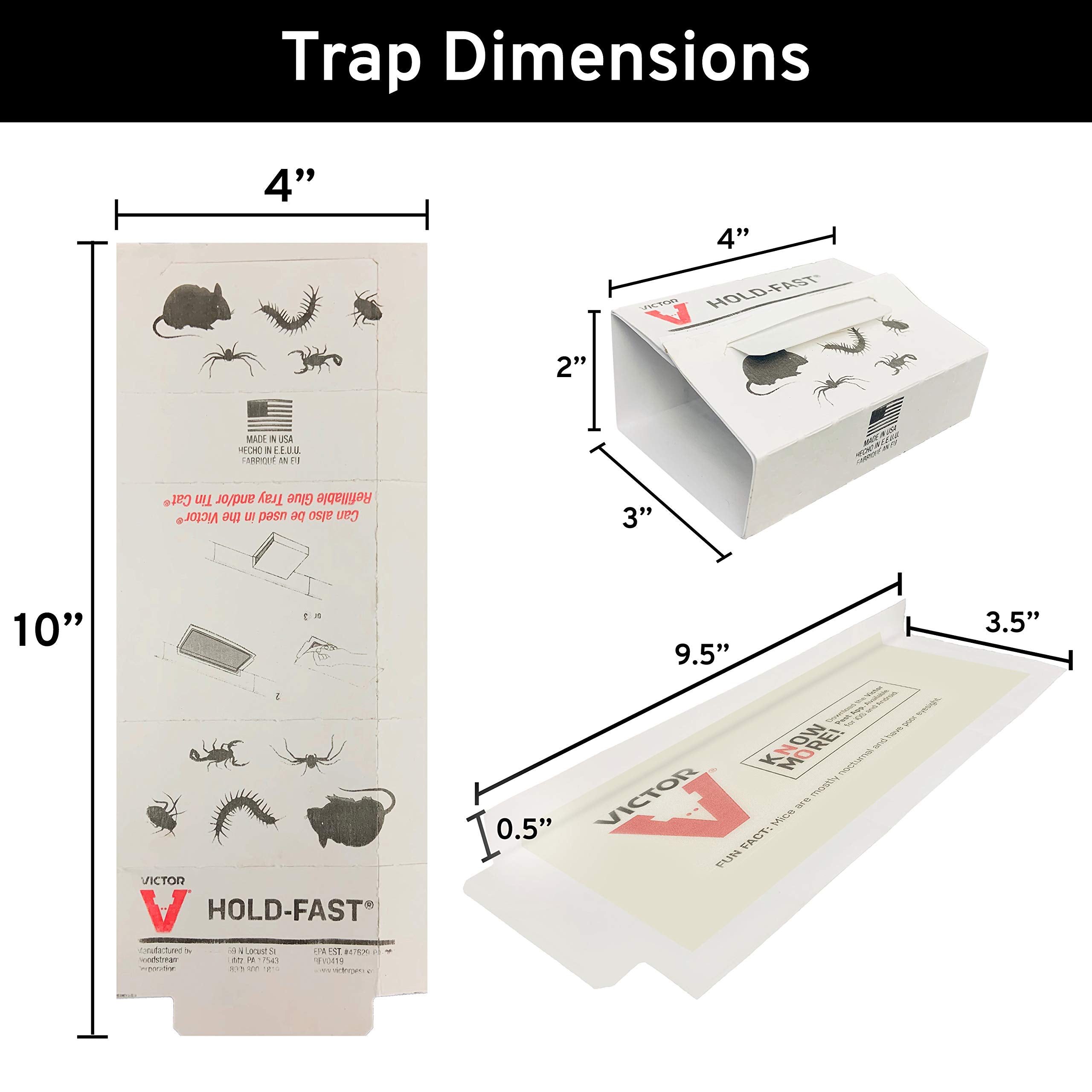 Victor M309 glue board provides secure hold on pests.