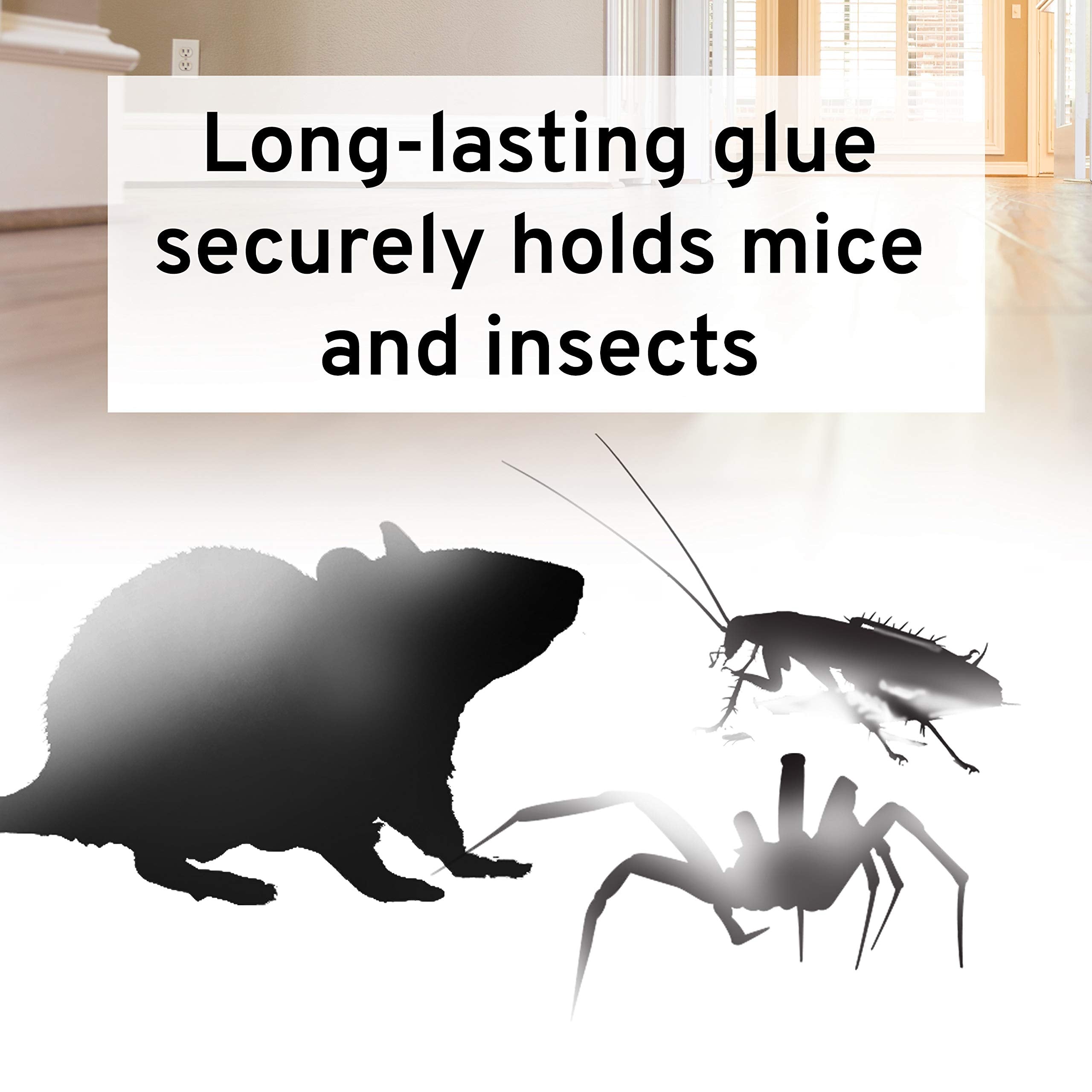 Victor M309 glue board folded into tent shape hides pests from view.