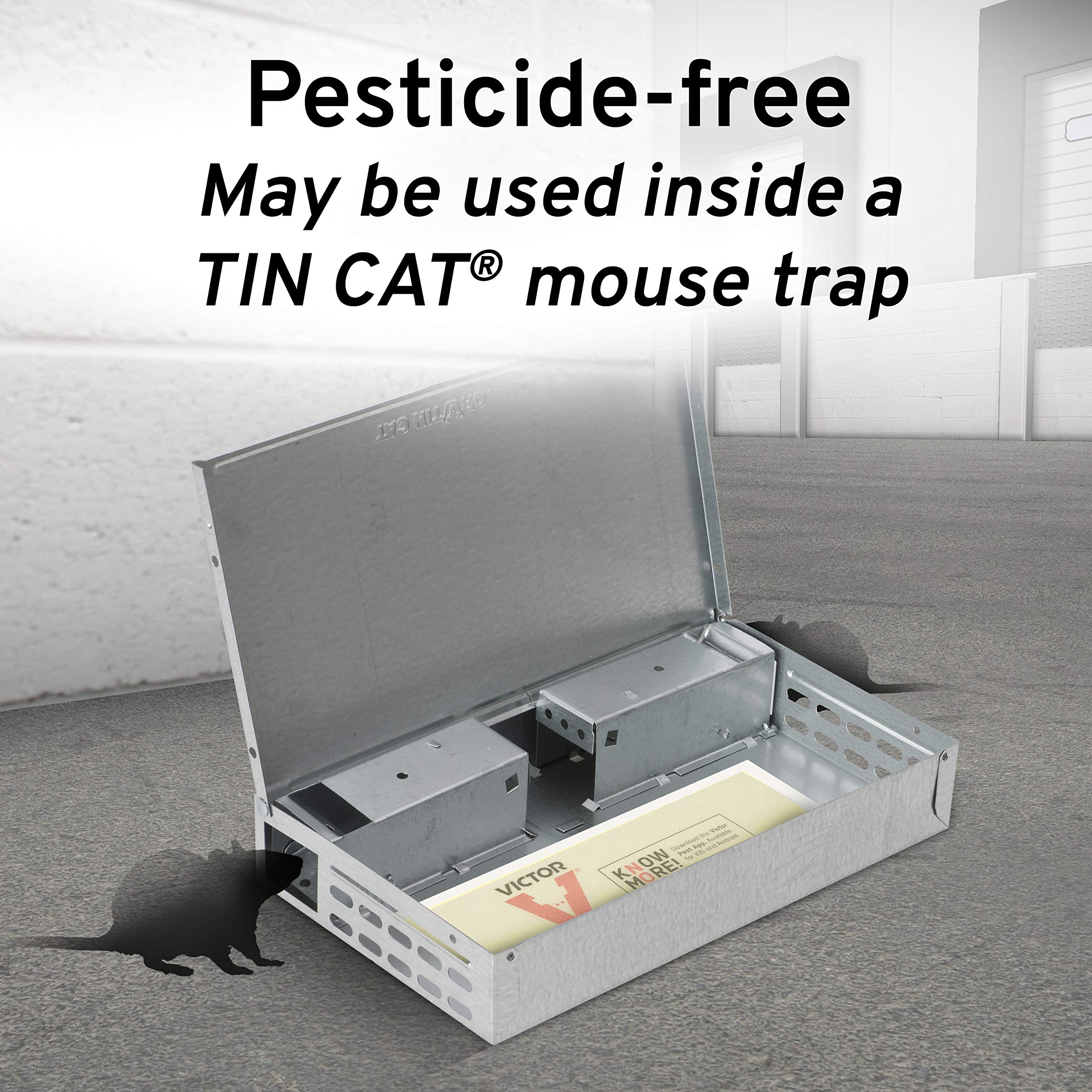 Victor M309 glue boards compatible with Tin Cat traps for easy setup.