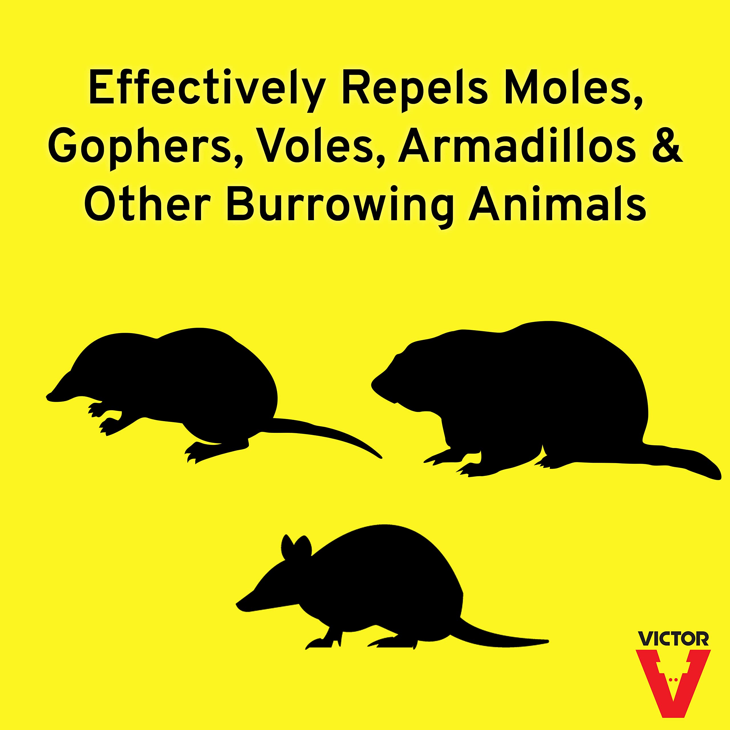Victor Mole & Gopher Repellent granules close-up ready to water into soil.
