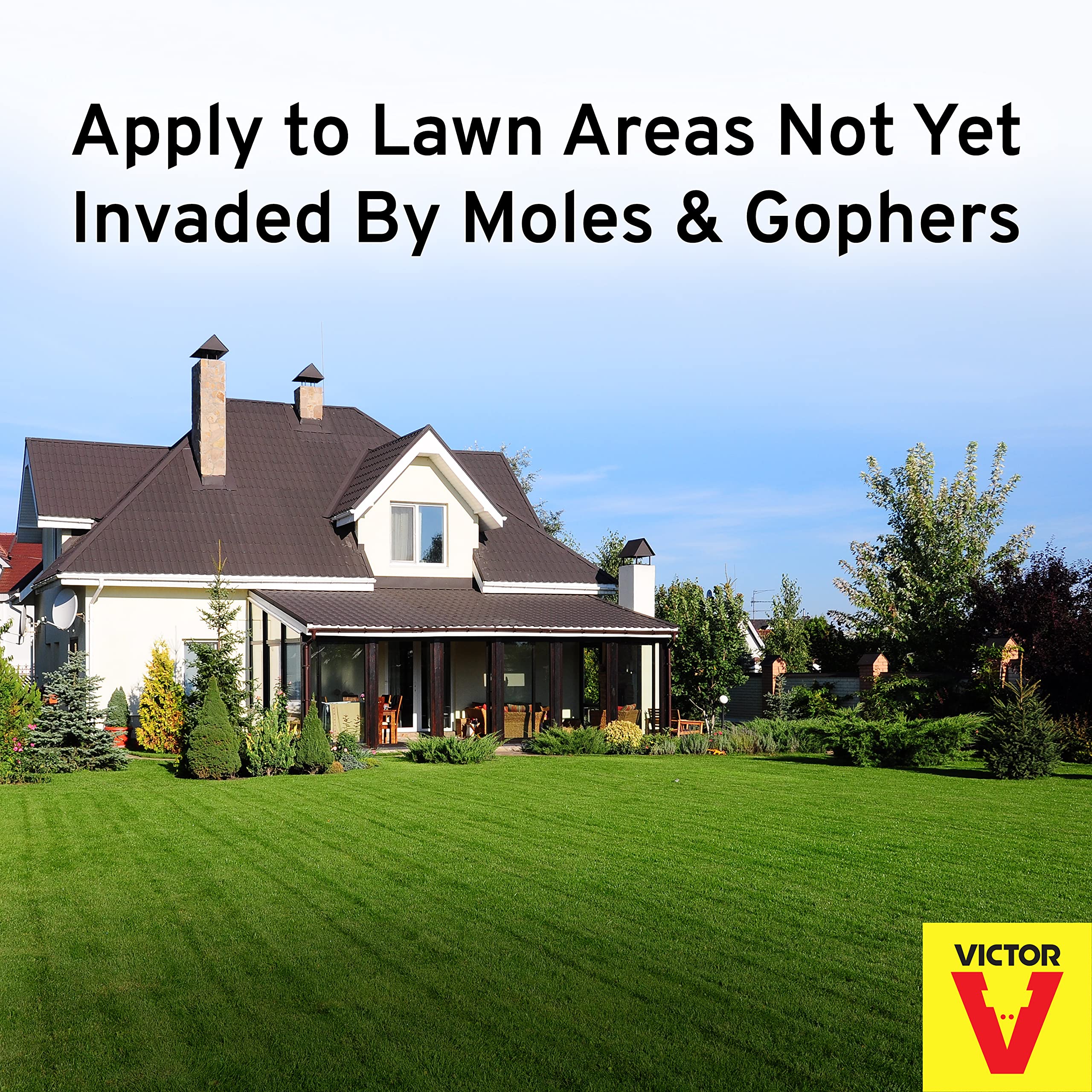 Victor Mole & Gopher Repellent being applied on lawn to deter pests.