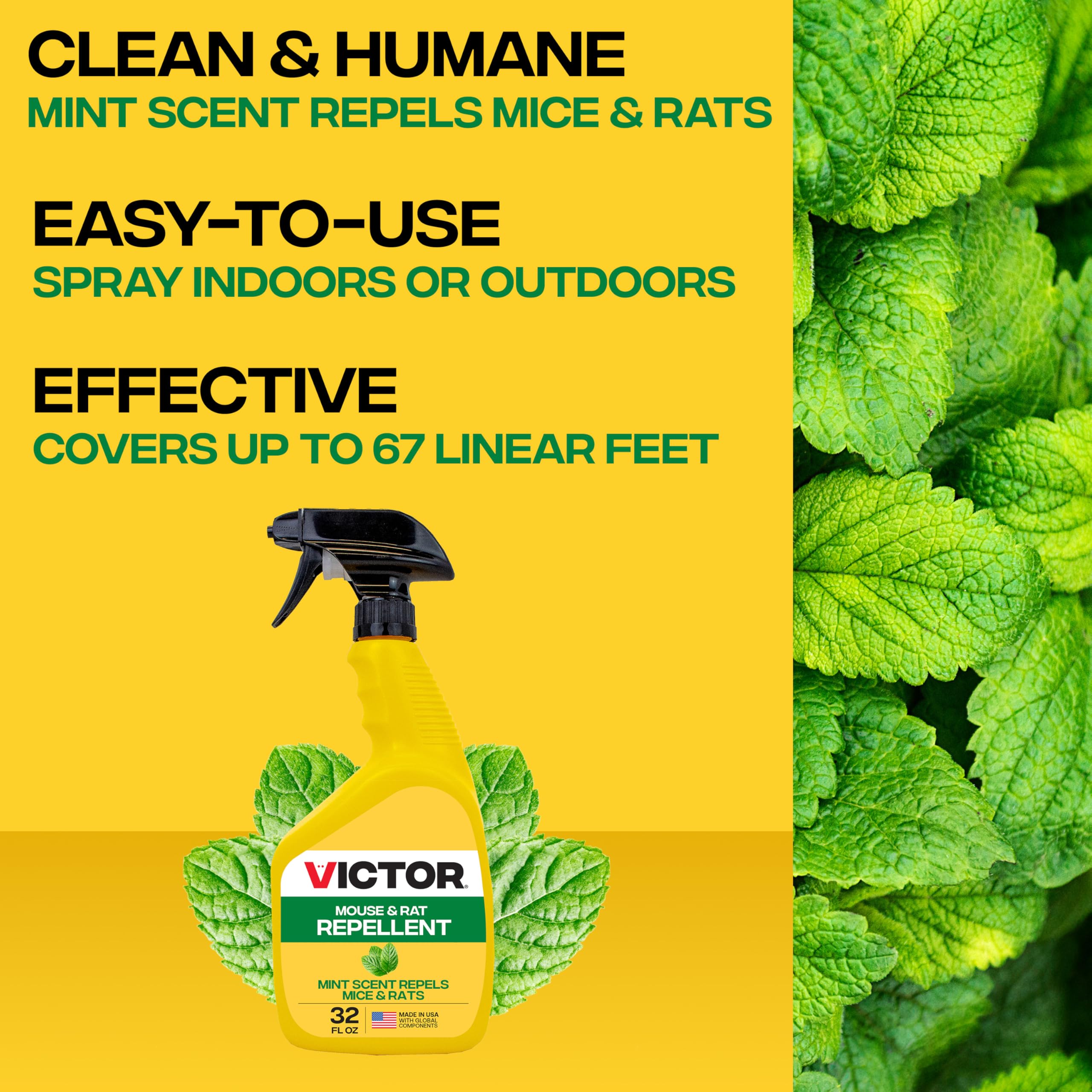 Applying Victor M809 around exterior perimeter to deter rodents.