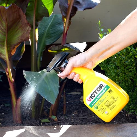 Shed perimeter application using Victor M809 for rodents deterrence.
