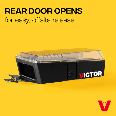 Victor trap with transparent lid makes catches visible without handling