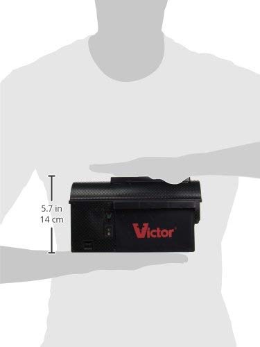 Victor Multi-Kill trap interior view reveals trigger plate and beveled columns to reduce escapes.