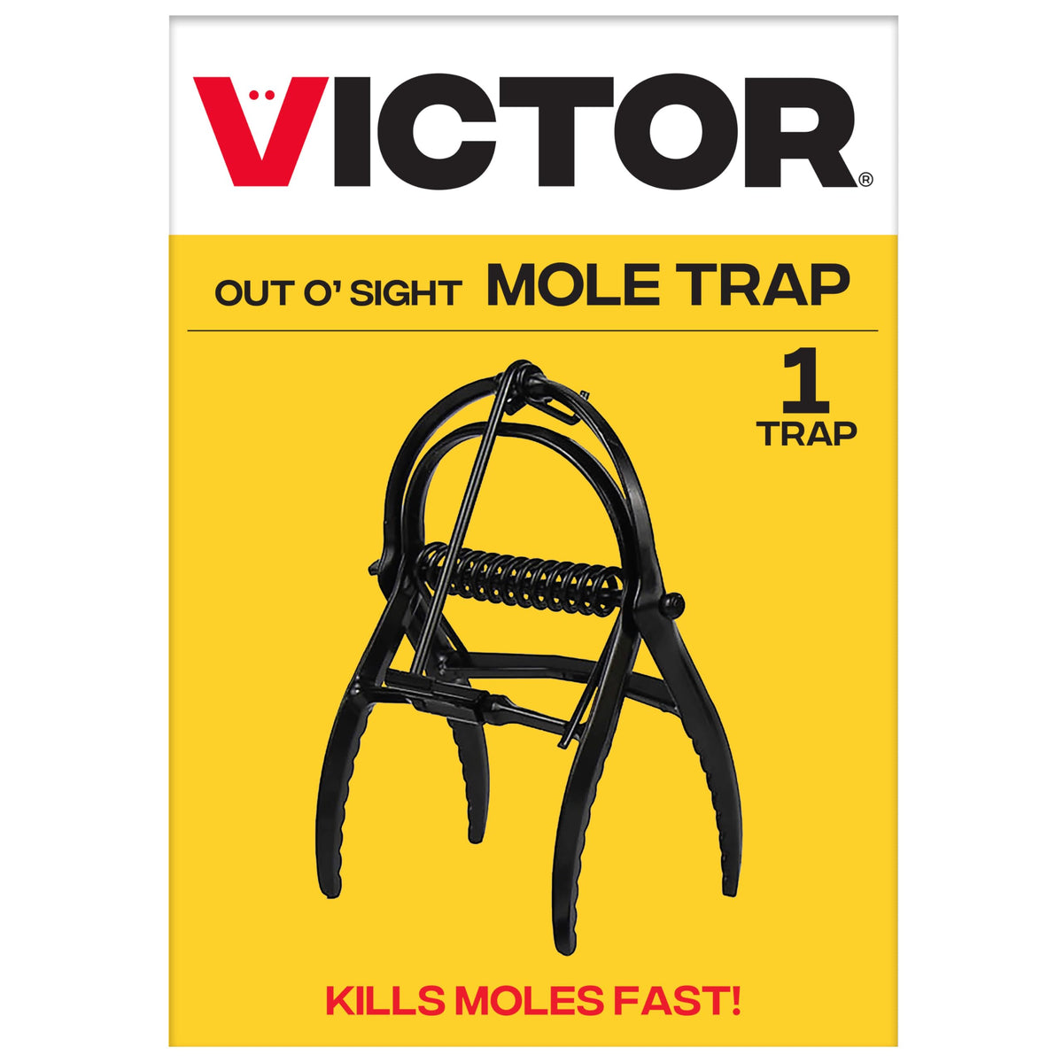 Victor Out O'Sight trap placed in a mole tunnel for quick control.