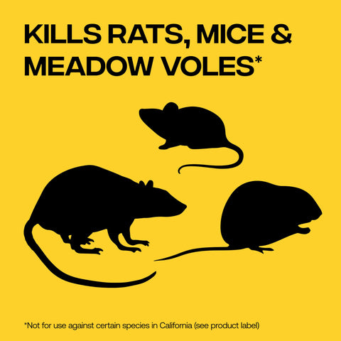 Victor rat poison bait-balls attracting rodents in kitchens and garages with reliable indoor use.