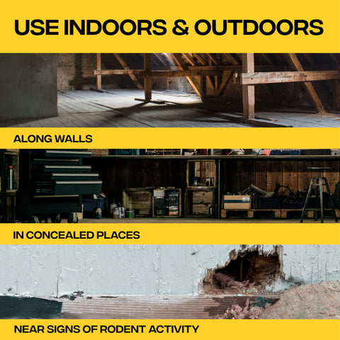 Victor indoor-use rat poison supports targeted control in basements, attics, and closed rooms.
