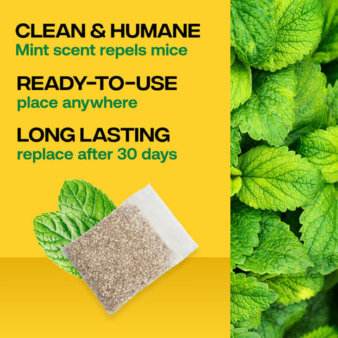 Victor Scent-Away pouch peppermint essence emphasizes natural rodent deterrence for indoor spaces