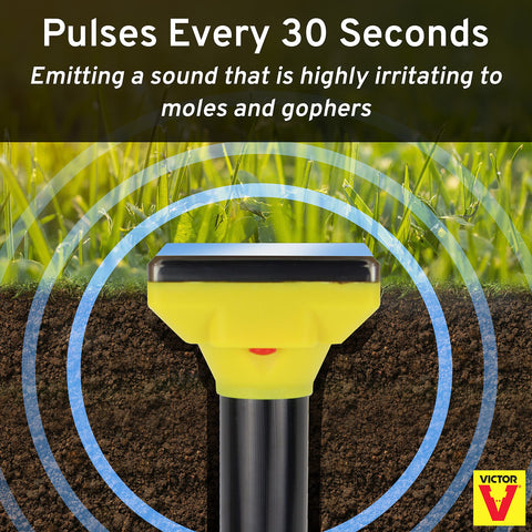 Victor Spike emits 30-second sonic pulses deterring moles and gophers.