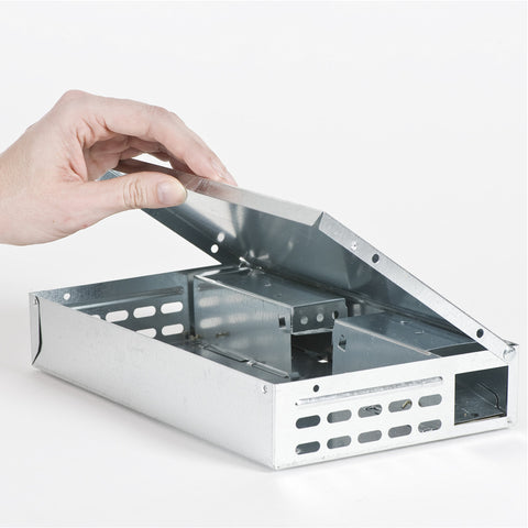 Victor Tin Cat trap showing lid-release feature after capture