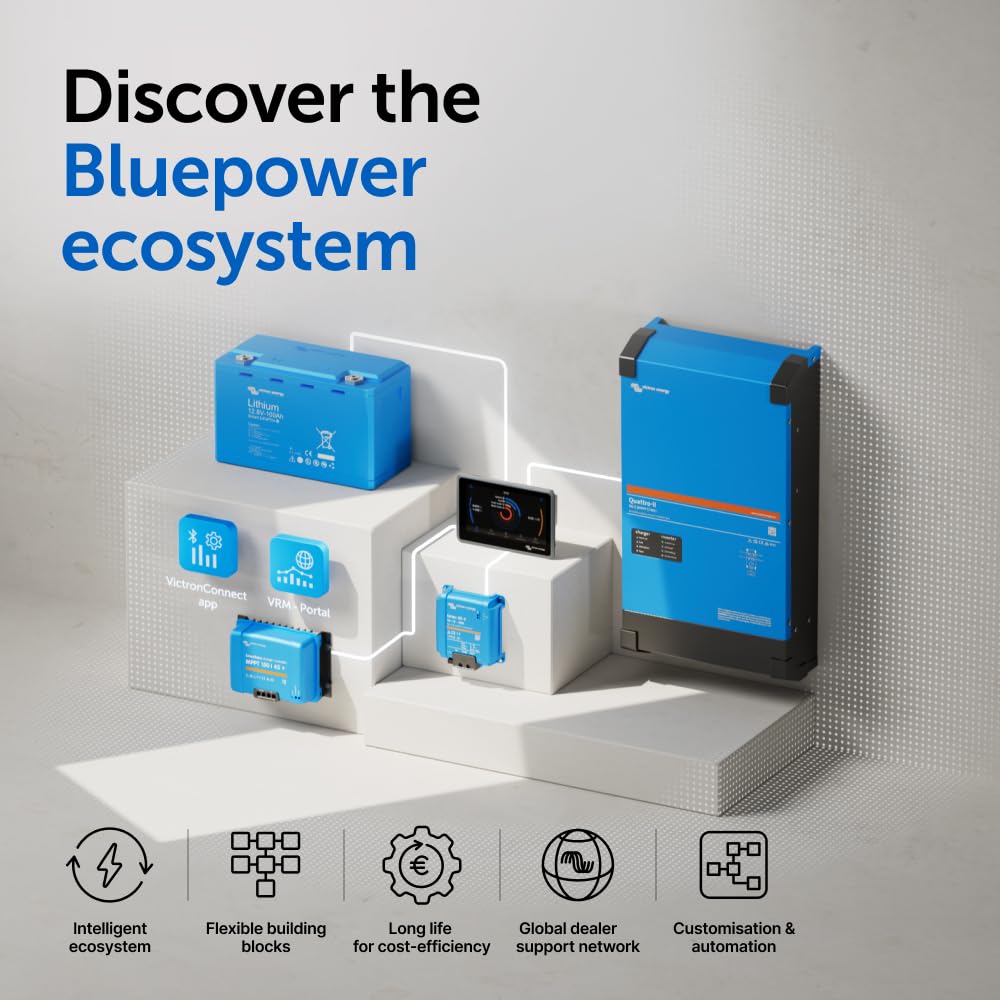 Victron Energy Smart Shunt auxiliary temperature sensor option.