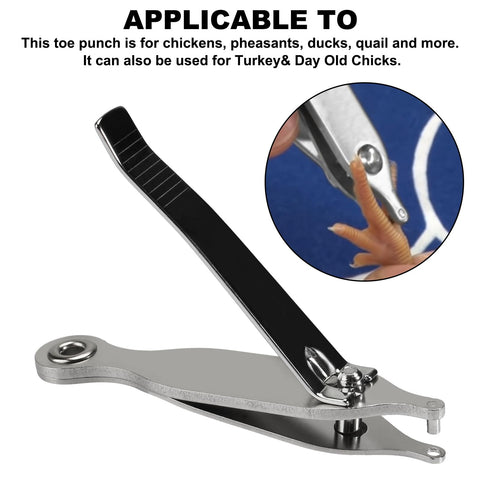 VIDABTE baby chick marking tool enables safe, consistent tagging.