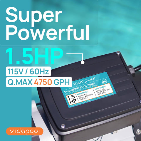 Vidapool adapter ports support 1.5 and 2 inch fittings