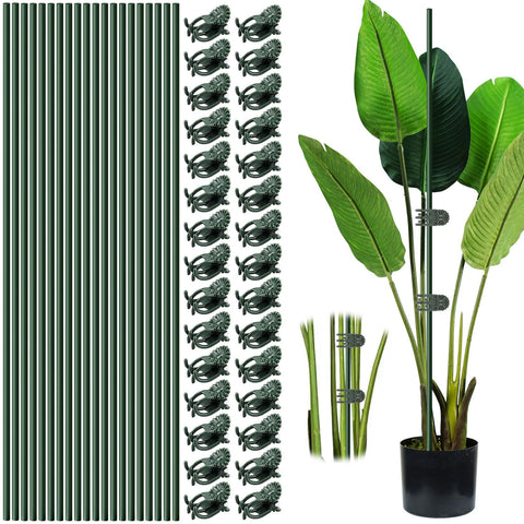 Vidroxin bendable orchid stakes with clips for flexible indoor plant support