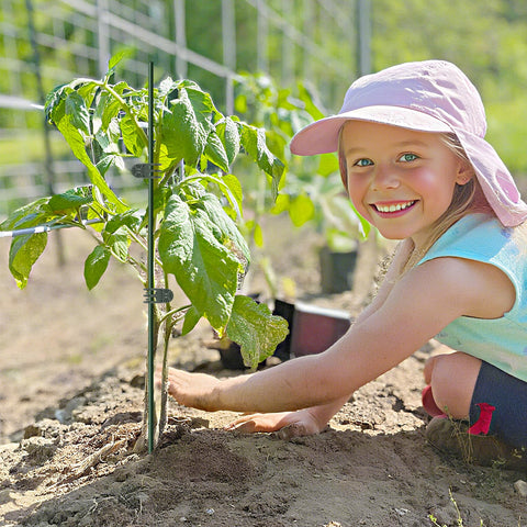 Vidroxin stake and clip system ideal for indoor outdoor use