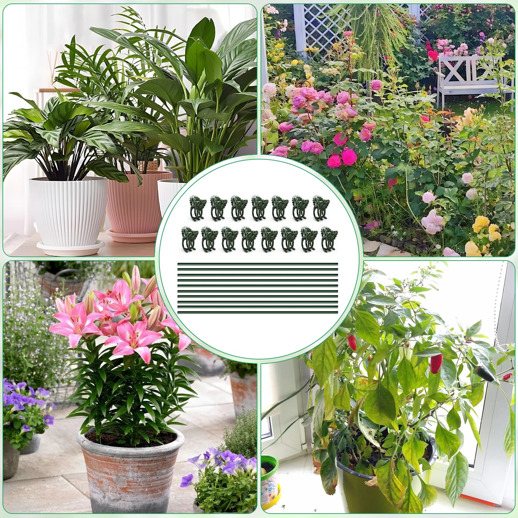Vidroxin orchid clips securely attach to stakes for stable positioning.