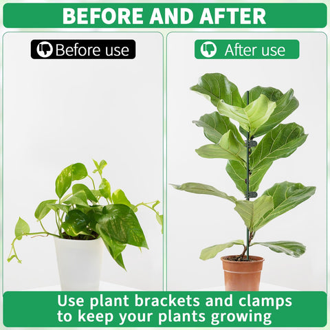 Vidroxin orchid and peony stakes for tidy pot plants