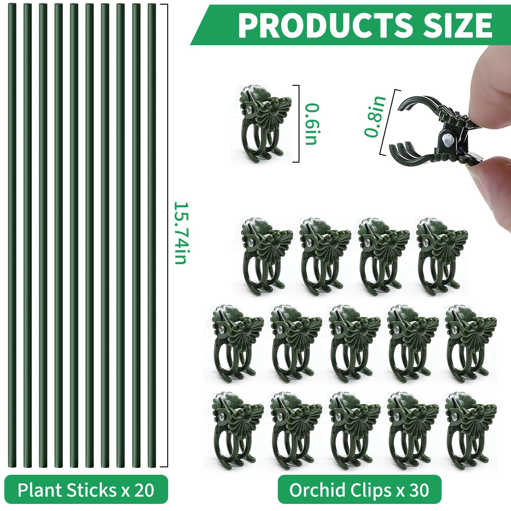 Vidroxin orchid stake with clips helps prevent drooping without sacrificing aesthetics.