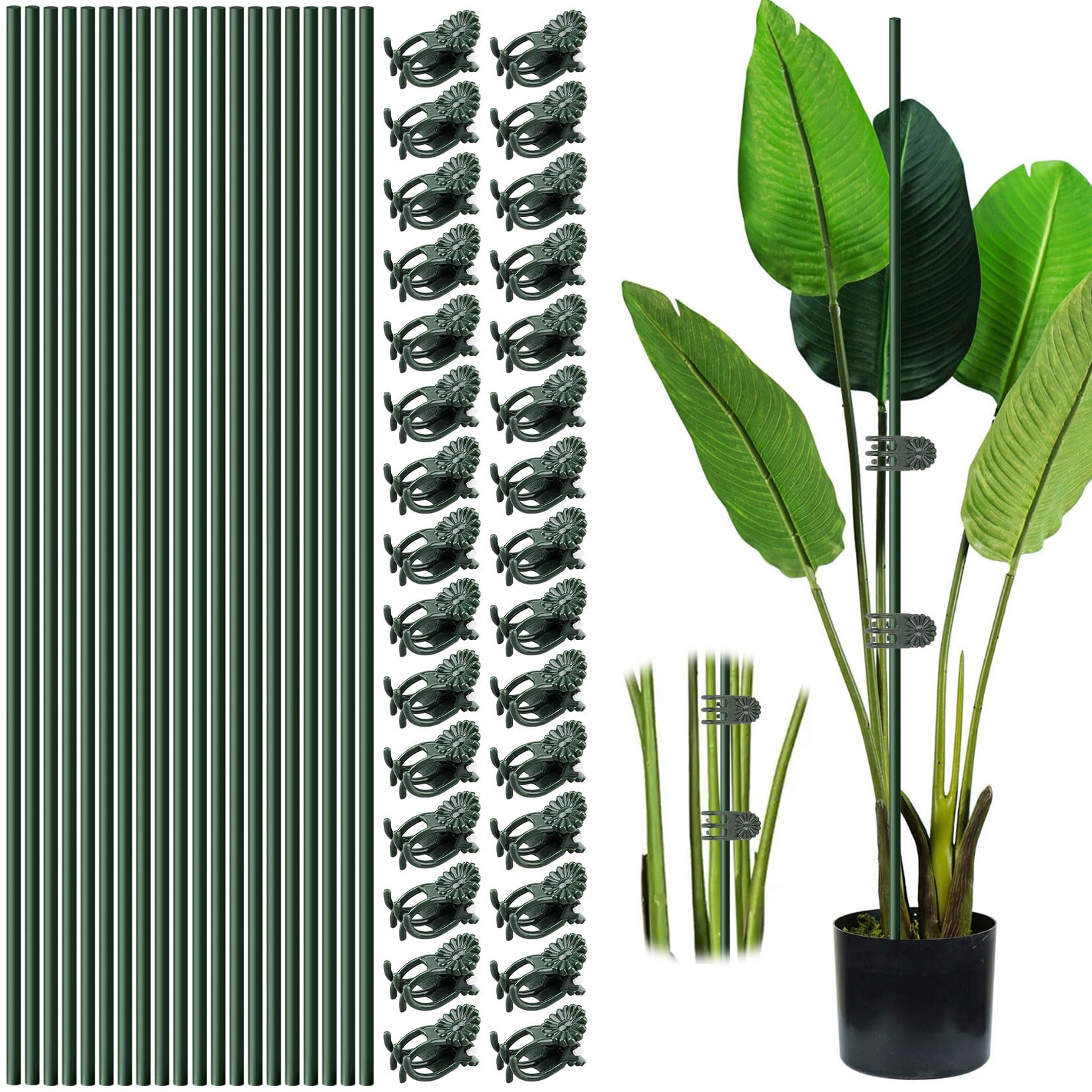 Vidroxin plant stakes with clips set offers discreet support for multiple indoor and outdoor pots.