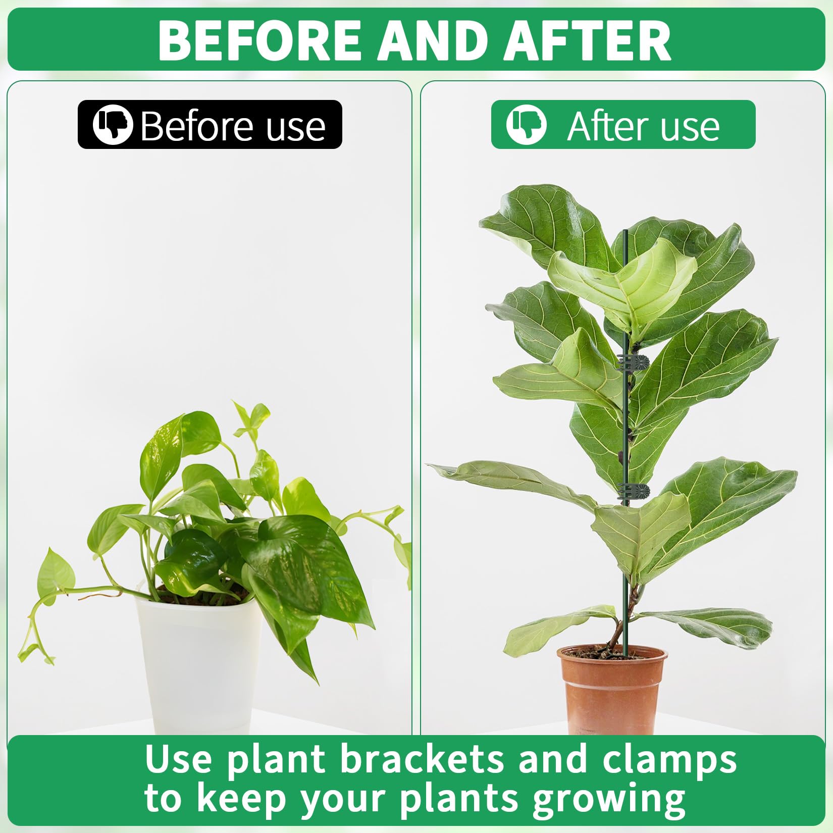 Vidroxin 40 cm tall stake provides flexible vertical support for tall stems.