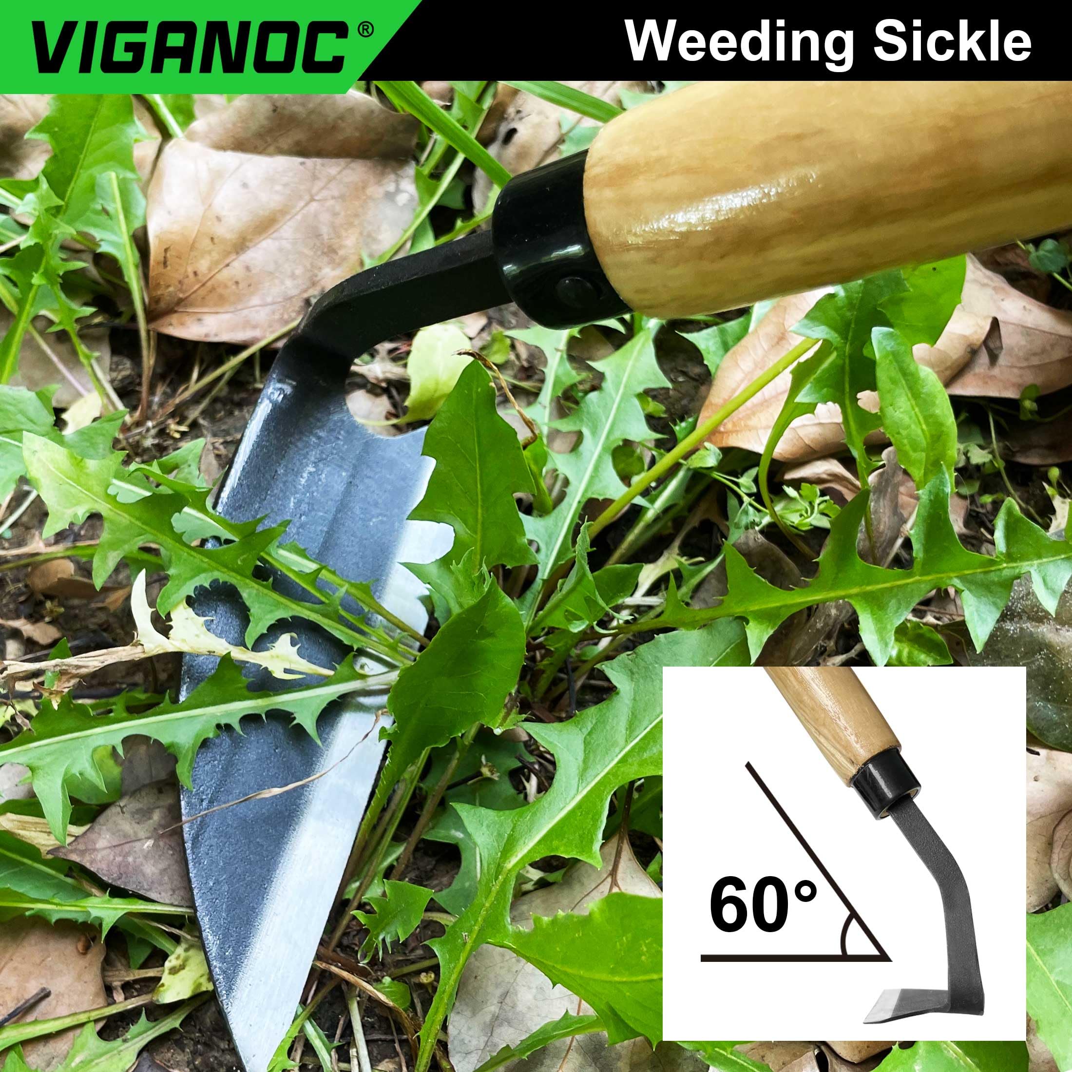 Viganoc SK5 high-carbon blade 4.9 inches stays sharp during heavy weeding.