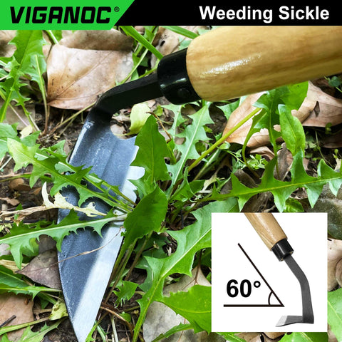 Viganoc SK5 high-carbon blade 4.9 inches stays sharp during heavy weeding.