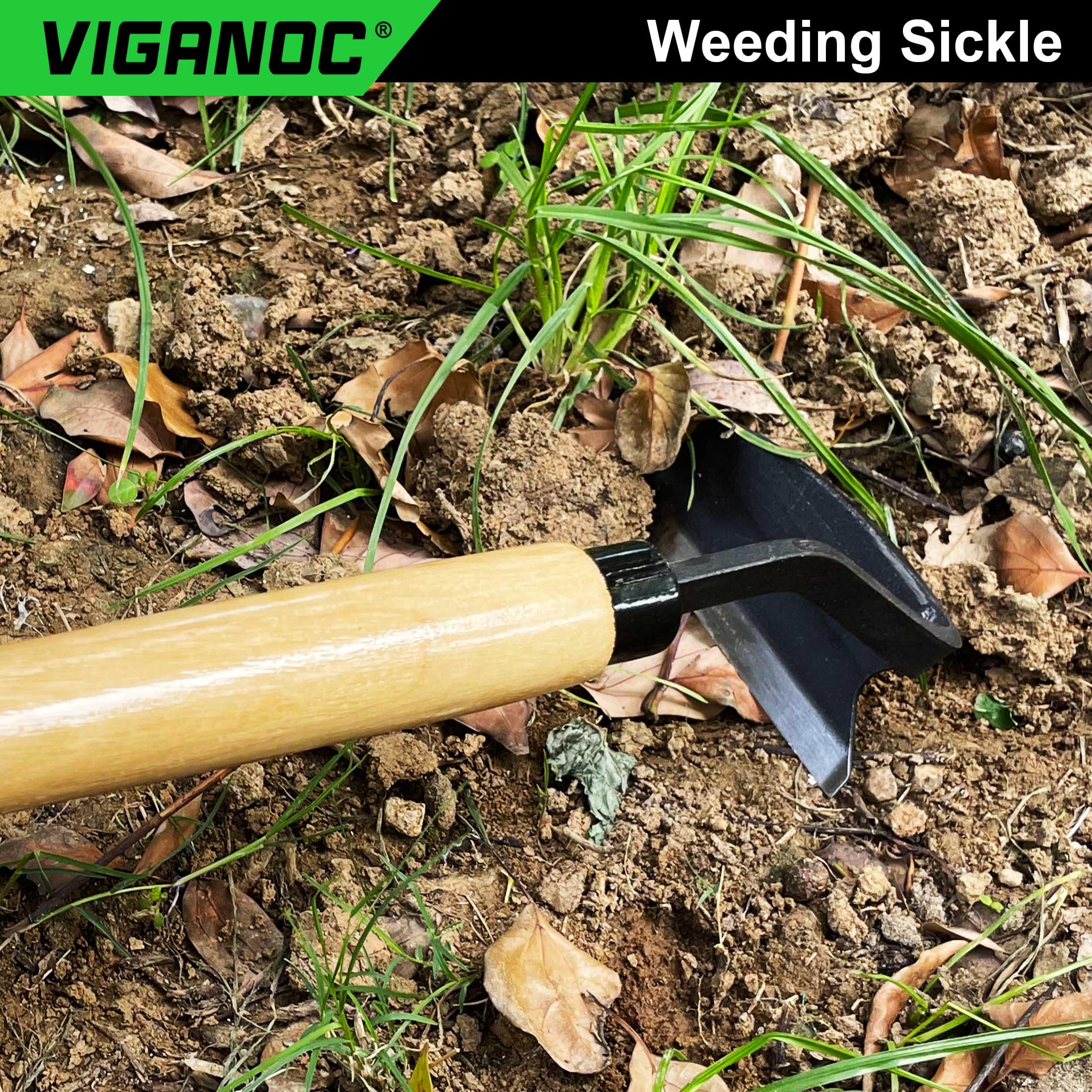 Viganoc wooden handle measures 9.6 inches for comfortable extended use.